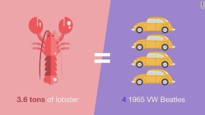 151223150106-chicken-or-fish-lobster-large-169