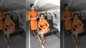 fireflyairlines3432434