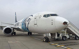 plane-that-was-hit_3593884e