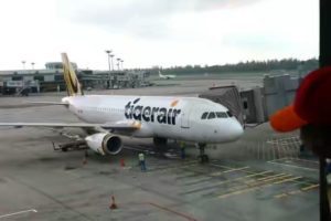 tigerair