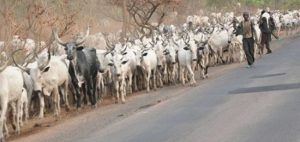 herdsmen-720x340